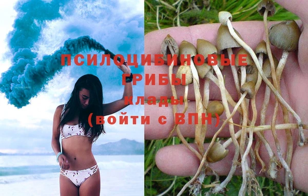 COCAINE Абаза