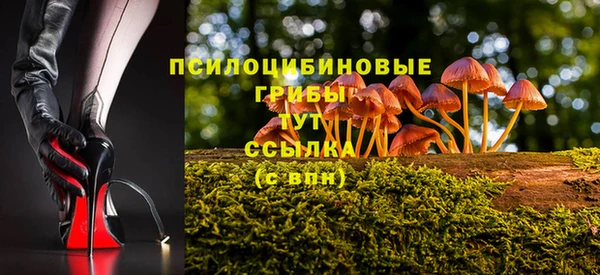 mdpv Алзамай
